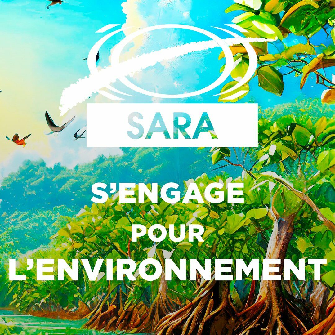 SARA Journée Environnement 2024 Instagram 1080x1080px